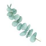 Card - Small Square Cards - 100mm x 100mm