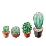 Card - Small Square Cards - 100mm x 100mm