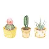 Card - Small Square Cards - 100mm x 100mm