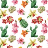 Card - Small Square Cards - 100mm x 100mm