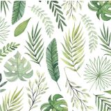 Card - Small Square Cards - 100mm x 100mm