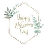 Card - Small Square Cards - 100mm x 100mm