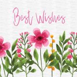 Card - Small Square Cards - 100mm x 100mm