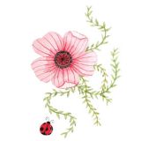 Card - Tania McCartney - 100mm x 100mm